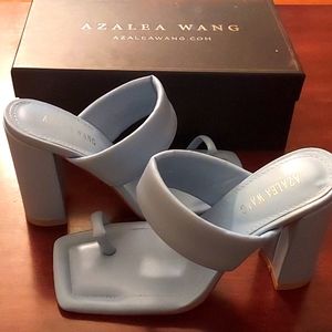 Blue Azalea Wang heels